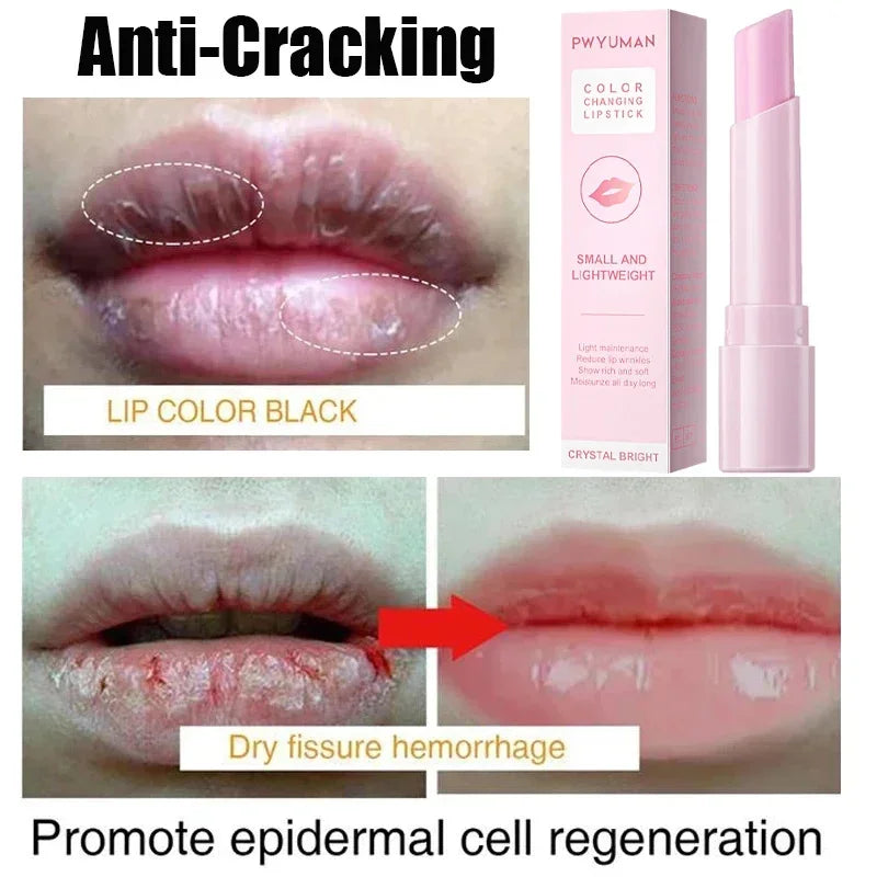 Revive Matte Lip Gloss